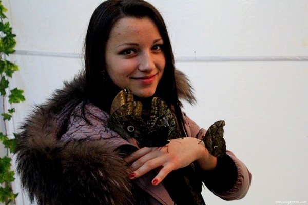 Лучанин каже, що його надурили в ЦУМі. ФОТО