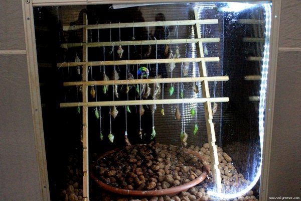 Лучанин каже, що його надурили в ЦУМі. ФОТО