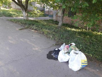 У пошуках сміття луцькі муніципали «прошерстили» вулицю