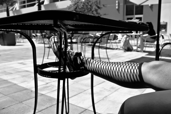 В потрібному місці і в потрібний час: вдалі кадри. ФОТО