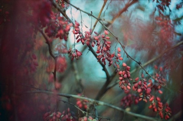 Фотовиставка Надії Міщук