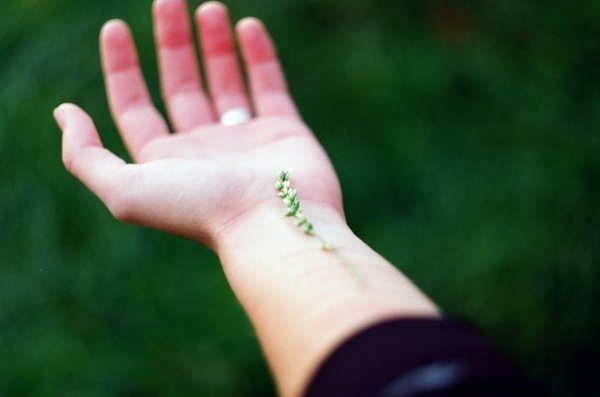 Фотовиставка Надії Міщук