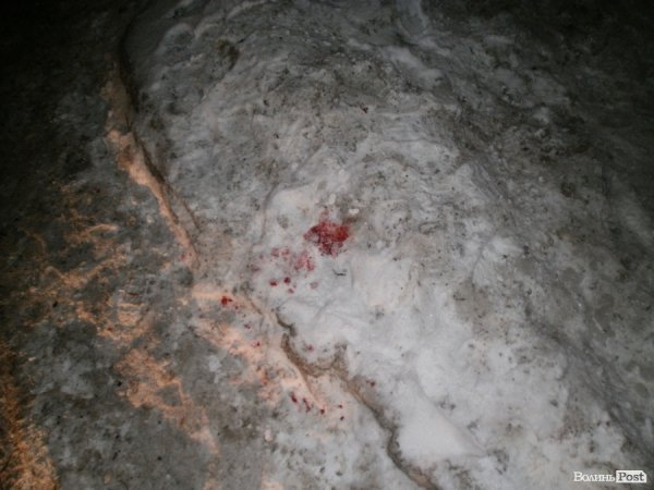 У Луцьку на переході авто збило маму з дитиною. Водій втік. ФОТО