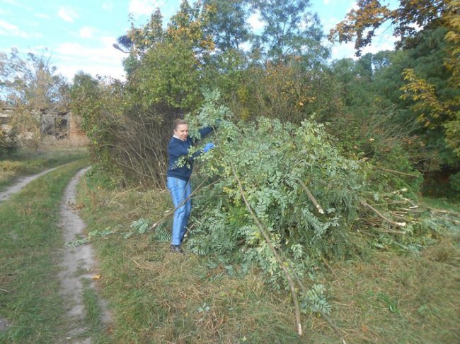 Древній маєток на Волині розчистили від чагарників. ФОТО