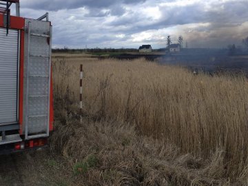 У Луцькому районі поблизу 5-ти сіл рятувальники гасили пожежу сухої трави