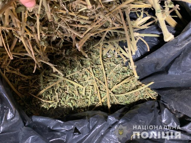 У волинянина знайшли майже кілограм наркотиків: йому «світить» до трьох років за ґратами 