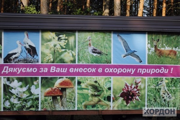 На екопосту «Венське» водії ігнорують знак зупинки. ФОТО