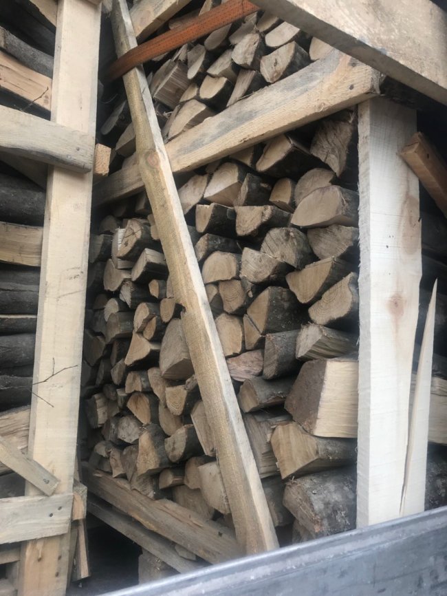 Волинські митники зупинили незаконний експорт деревини в Євросоюз