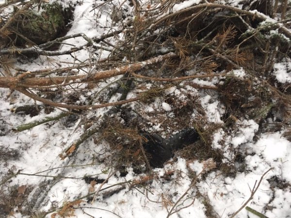 На кордоні  в лісі знайшли велику патрію сигарет