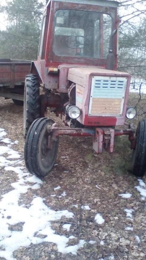Луцькі прикордонники спіймали чоловіків, які рубали ліс. ФОТО