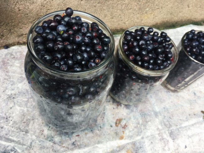 Скільки на ринках Луцька коштує перша чорниця. ФОТО