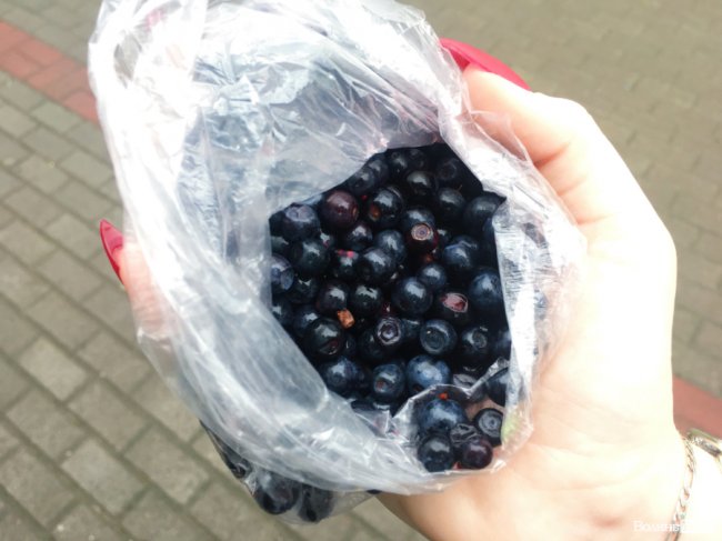 Скільки на ринках Луцька коштує перша чорниця. ФОТО