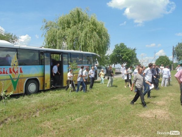 День поля на «Волинь-зерно-продукті». ФОТО*