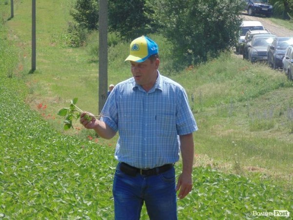 День поля на «Волинь-зерно-продукті». ФОТО*