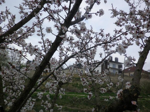 Як лучани прибирають місто до Великодня. ФОТО