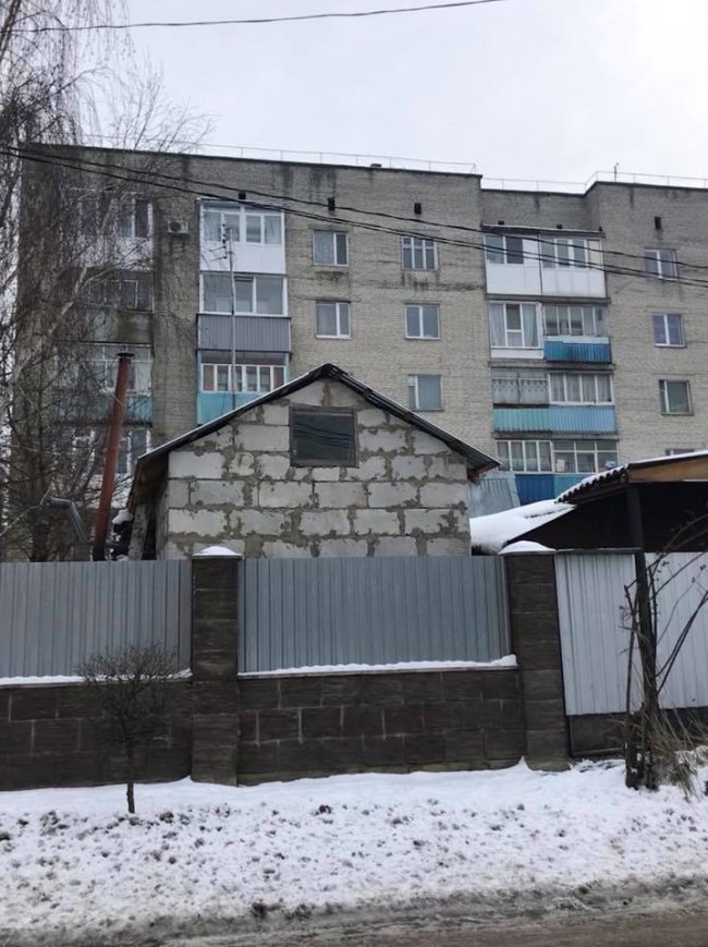 У Луцьку живодер ледь не вбив кота на морозі. ФОТО