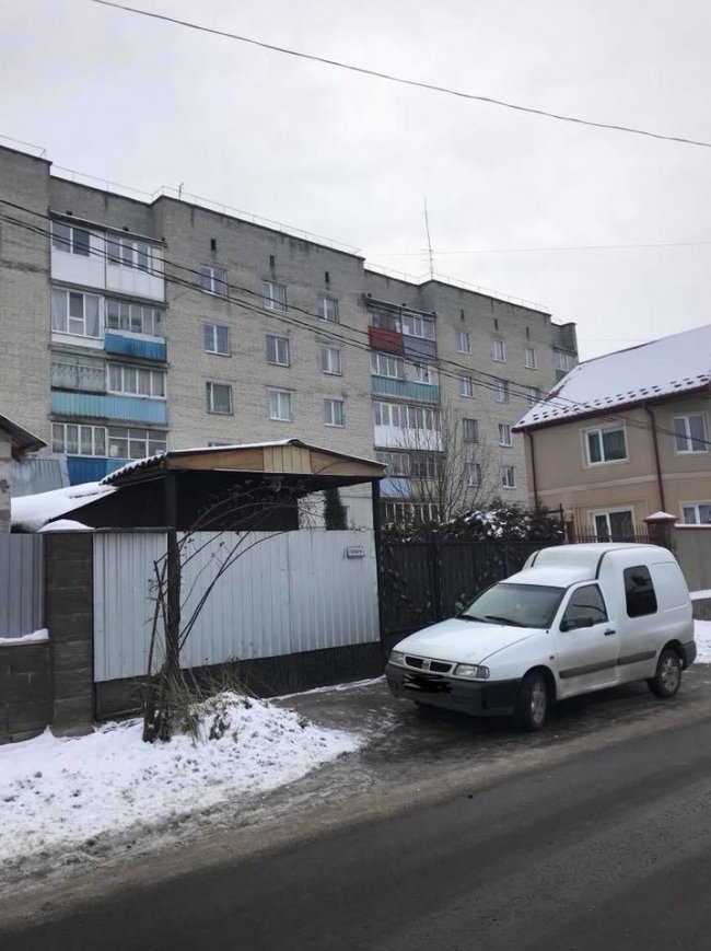 У Луцьку живодер ледь не вбив кота на морозі. ФОТО