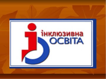 Волинь - у лідерах за кількістю шкіл, де впровадили інклюзивну освіту
