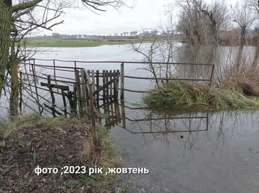 У Локачах підтоплює городи та будинки: мешканці звинувачують місцеву рибальську спілку