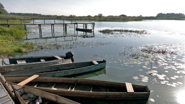 Як живе село Сваловичі на Волині, де лишилося 12 жителів. ВІДЕО 