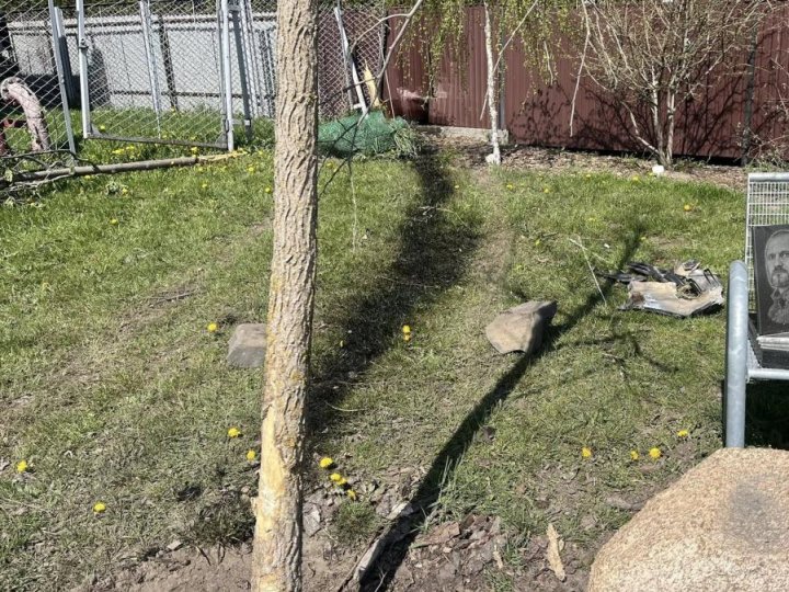 Пошкодження скверу пам’яті Вячеслава Зенца у Рожищі: поліція встановила водія, його розшукують