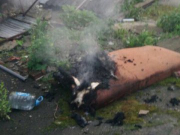 У Луцьку через дитячі ігри ледь не згорів склад. ФОТО