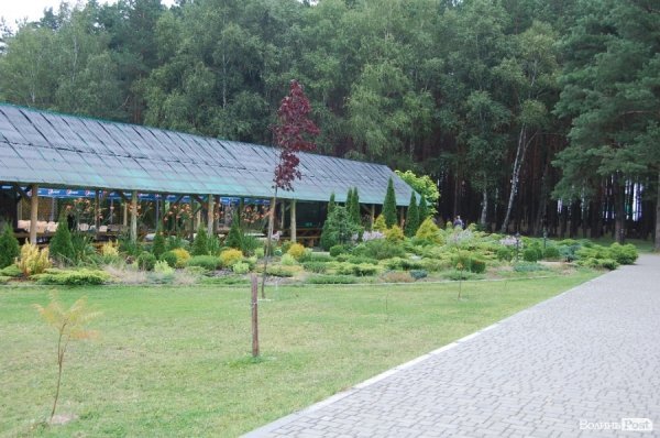 Літній майданчик зі сценою