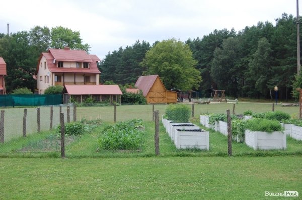 На території бази вирощують городину