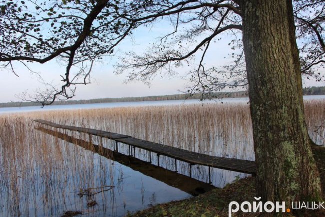 Золота осінь у санаторії «Лісова пісня». ФОТО