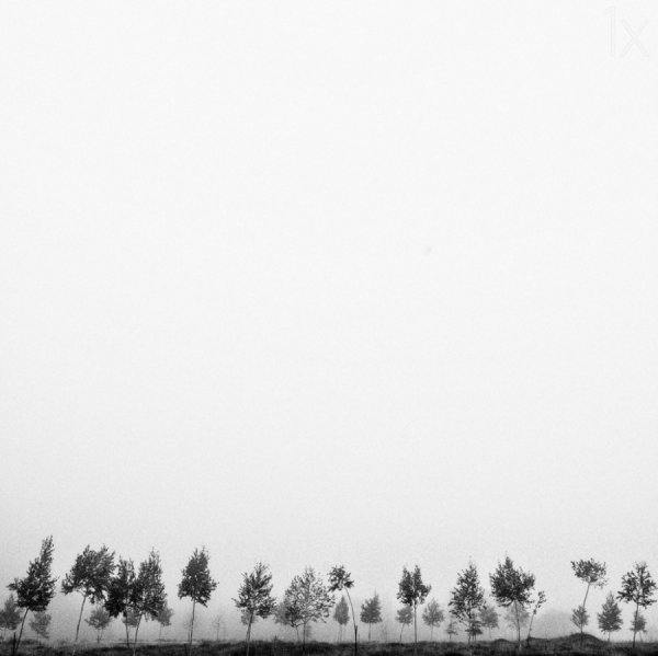 Захоплюючі знімки для любителів мінімалізму. ФОТО