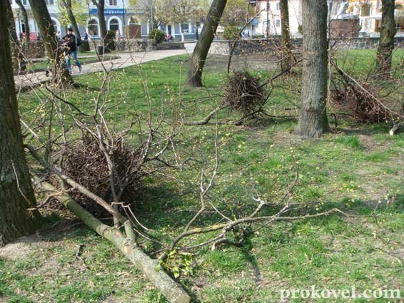 Влада оголосила війну ковельським воронам