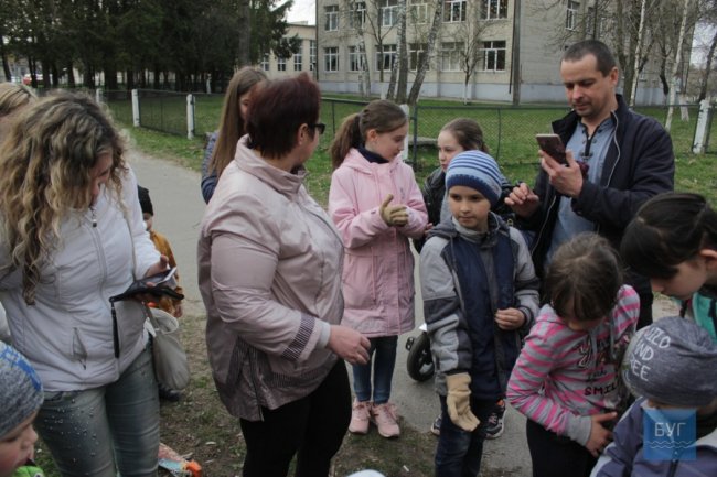 У Володимирі-Волинському випустили на волю 90 врятованих кажанів. ВІДЕО