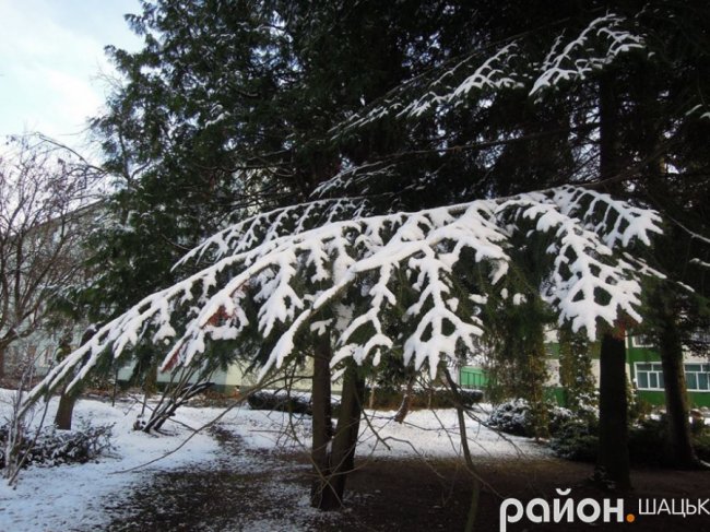 Шацькі озера засипало снігом. ФОТО