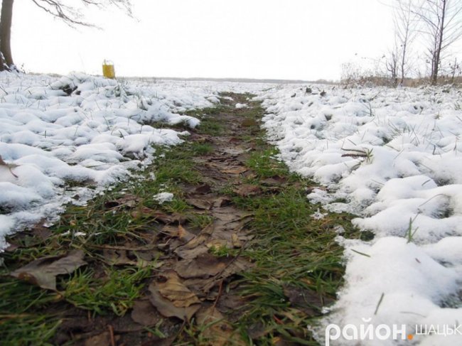 Шацькі озера засипало снігом. ФОТО