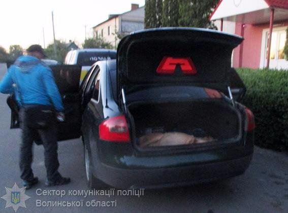 Волинянин віз у багажнику мертву косулю та її місячне маля
