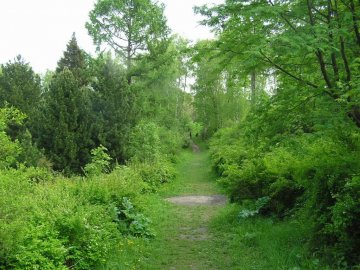 Погода в Луцьку та Волинській області на завтра, 2 травня