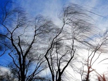 У західних областях України – сильні пориви вітру