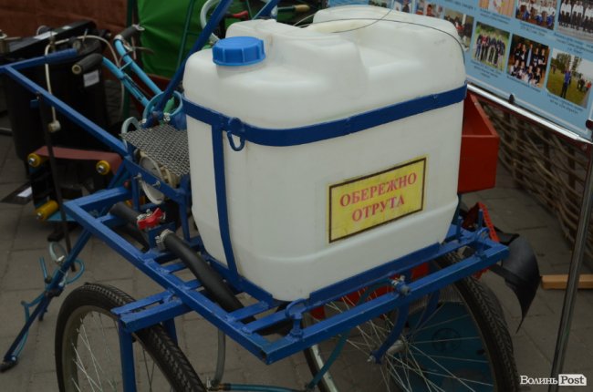 Від мініатюрних тістечок до величезних гойдалок: у центрі Луцька – свято професійної освіти. ФОТО