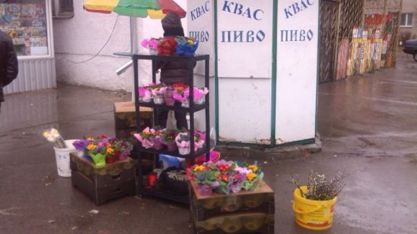 У Луцьку незаконно торгували квітами. ФОТО