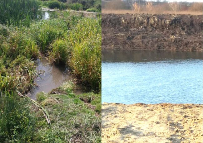 Жителі села під Луцьком розчистили берег річки. ФОТО