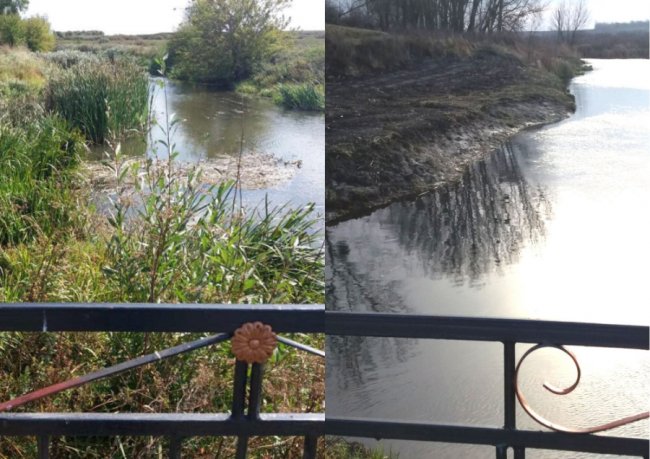 Жителі села під Луцьком розчистили берег річки. ФОТО