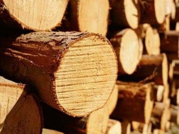 Під Луцьком водій, який перевозив деревину без документів, хотів відкупитись від поліцейських