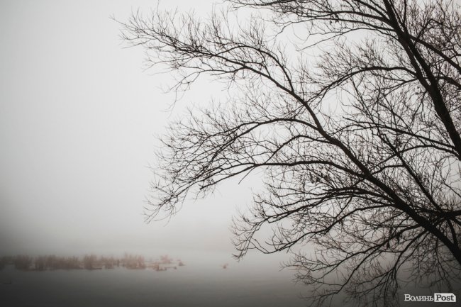 Туманно-сіра краса у Луцьку. ФОТО