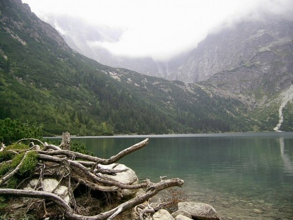 Автор - Романюк Катерина