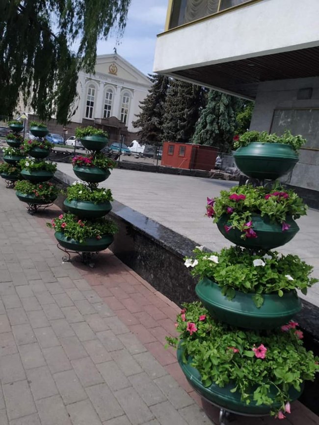 Вулиці Луцька прикрасили живими квітами. ФОТО
