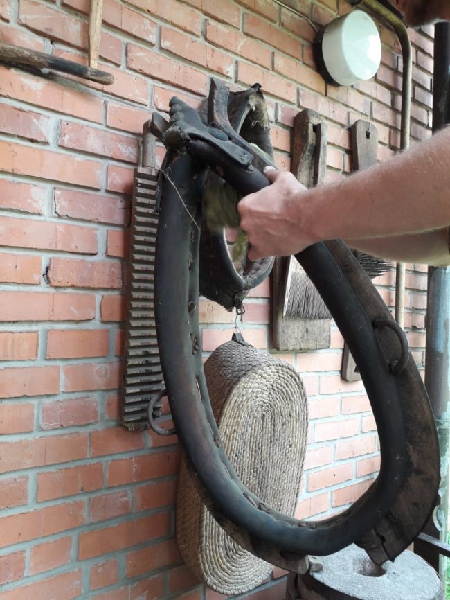 Положинський передав волинському музею зібрані його татом старожитності