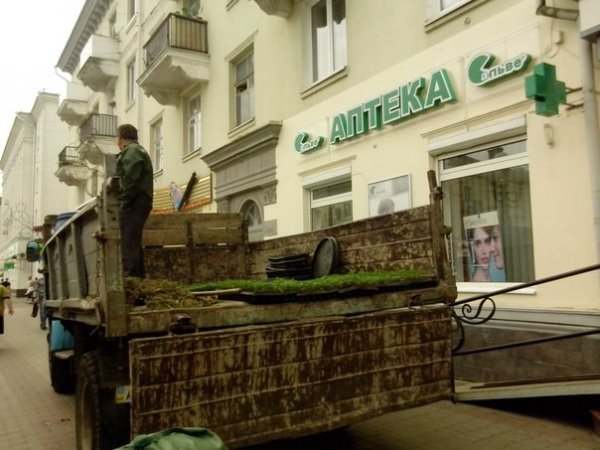 Як облагороджують центр Луцька. ФОТО