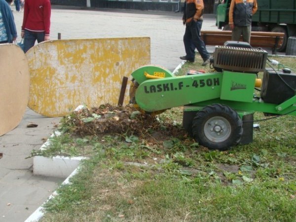 Як облагороджують центр Луцька. ФОТО