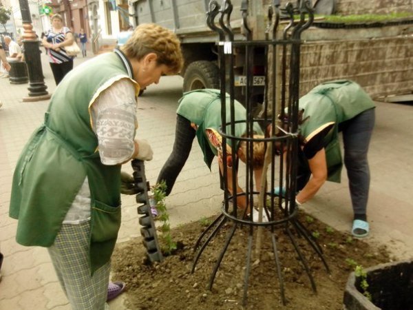 Як облагороджують центр Луцька. ФОТО