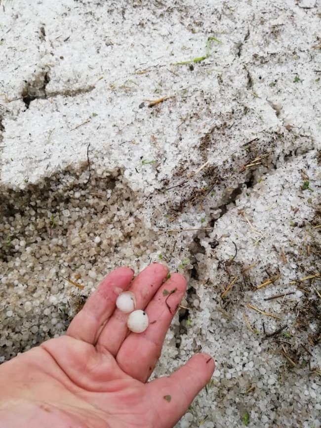 Врожаю не буде: на Ковельщині град побив сотні гектарів поля. ФОТО